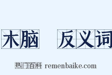 木脑殻反义词是什么意思的图片